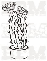 /album/fotogaleria-kvety-stromy/kvety-34-jpg/